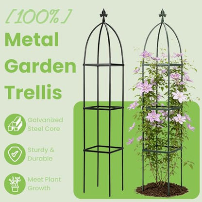 Lancisism 100% Metal Trellis for Climbing Plants Outdoor - Garden Metal Obelisk Trellis Vertical Plant Support for Climbing Vines & Flowers - Sturdy Steel Arch Trellis for Potted Plants Indoor Green
