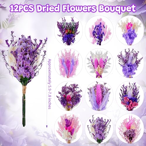 12/24 PCS Charming Dried Flowers Bouquet for Vase Various Dried Wildflowers with Stems Mini Handmade Wildflowers Natural Real Flowers Bulk Flowers Craft (Purple Series, 12 PCS) - color: Purple Series