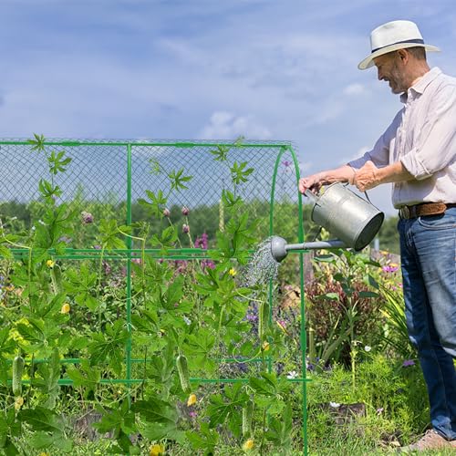 codree 2 Packs Garden Cucumber Trellis for Plant- 47 x 47 Inch Metal Arch Melon Trellis for Raised Bed- Foldable Tunnel Trellis with Climbing Net Clips for Growing Vine Vegetable - color: 2Pcs-47x47Inch