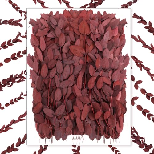 Wavwavw 100 Pcs 6 Inch Pressed Dried Eucalyptus Leaves, Red - color: Red