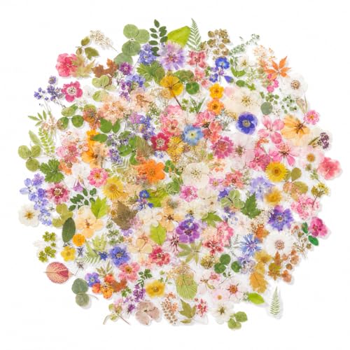 270PCS Dried Pressed Flower Scrapbook Stickers, Floral Journal Supplies
