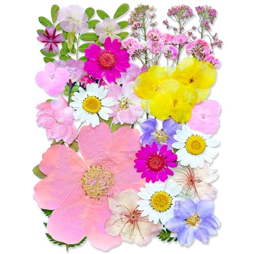 MIKIYA 33Pcs Pink Pressed Dried Flowers for Resin, Real Natural Bulk Assorted Dry Floral Leaves for DIY Art Crafts, Epoxy Molds, Jewelry, Soap, Candle Making, Nails Decors