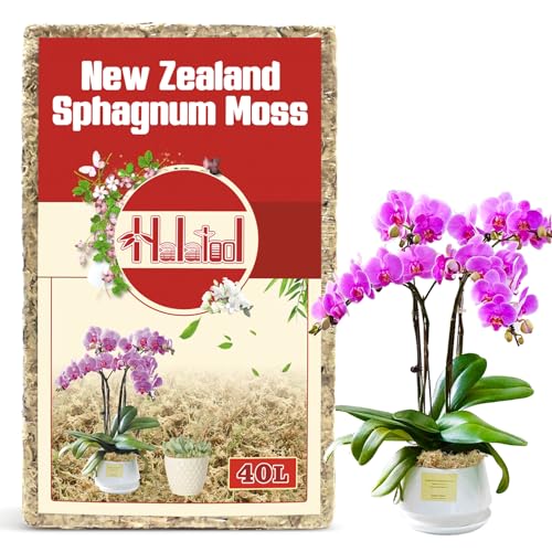 Halatool Premium New Zealand Sphagnum Moss, 500g (40L When Hydrated) - size: 40L