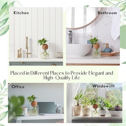 3 Pcs 3.94 Inches Glass Plant Propagation Stations with Spherical Lid Glass Jars Plant Propagation Vases Hydroponic Spherical Cork Planter for Indoor Home Office Desktop Decor(Cylinder) - size: 3.94 Inches, style: Cylinder
