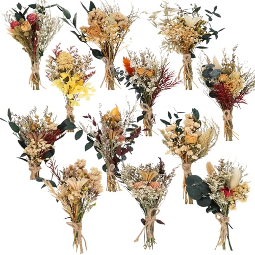 Layhit 12 Pcs Mini Dried Flower Bouquet Boho for Wedding,Bright - style: Bright