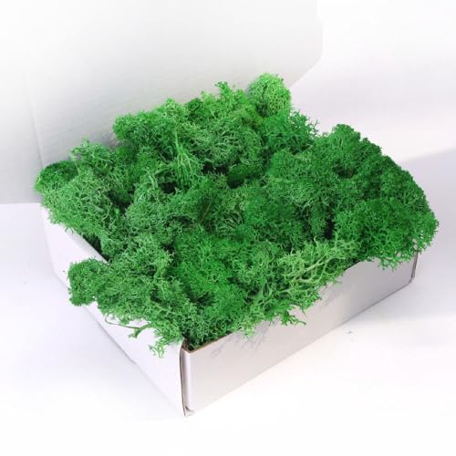 Preserved Moss-3.5 OZ Moss for Crafts Faux Moss Decor Natural Green Moss for Art Wall Florist Decor, Fairy Gardens, Wedding, Floral Project(Leaf Green 3.5 OZ) - color: LEAF GREEN, size: 3.5OZ
