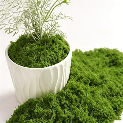 Fake Green Moss for Potted Plants 17.63OZ (500g), Artificial Moss for Crafts DIY Fairy Gardens Wedding Party, Faux Moss for Floral Arrangements,Micro-Landscape Table Centerpieces Filler Decor