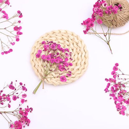 Fuchsia 70 Pcs Small Dried Babys Breath Flowers for Resin ,Real Dried Babys Breath Pressed Flower for Wedding Invitations Wax Seals ,Dry Flat Baby's Breath Flower with 2 Tweezers. - color: Fuchsia