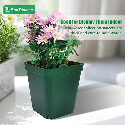 RooTrimmer Square Nursery Succulent Pots 4 Inches 60 Pcs Deep Flower Plant Nursery Seedling Grow Pots Plastic with Drainage (Green, 4Inches, 60Pcs) - color: Green, size: 4 Inch - 60pk