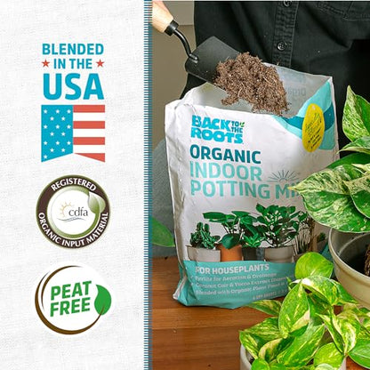 Back to the Roots 100% Organic Indoor Potting Mix (Value 12 Quart) | Promotes Healthy Houseplant Growth| Made in The USA - size: 12 Quart, style: Indoor Soil