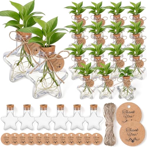 Baderke 24 Pack 3.74'' Plastic Plant Propagation Stations with Hole Lid 5oz Planter Vase Clear Propagation Jars with Thank You Tags for Plant Lover Gifts for Women Office Home Garden - style: Star