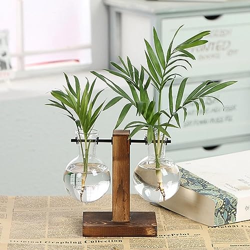 Hydroponic Plant Vases with Wooden Stand, Desktop Clear Glass Bulb Shape Vase Terrarium Planter Holder for Office Desk Wedding Decor, 2-Glass Beaker Bulbs - color: B