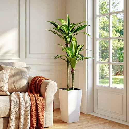 5FT Dracaena Artificial Plant, with White Tall Planter | Tall Artificial Plants Indoor,Lifelike Leaves,Leaves Are Easy to Style,for Living Rooms, Bedrooms Porch and Offices Décor - color: White-5ft