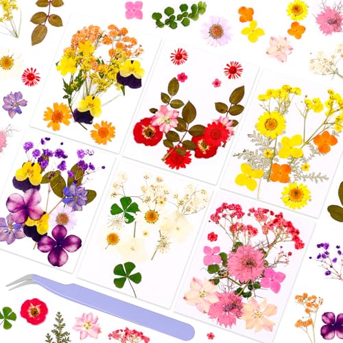Pressed Dried Flowers for Resin Crafting, Natural Preserved Petals & Leaves for Art, Candles, Scrapbooking, Nail Art, Floral Decor – Complete Kit for Crafts & DIY Projects - color: Romantic