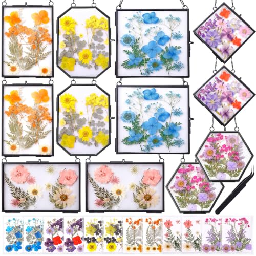Chunful 12 Pcs Pressed Flower Craft Kit for Women, DIY Floating Double Glass Frame Kit with Real Dried Flowers, Handmade Gift Art Project for Keepsake Creative Crafts Decor (Fashion,Black) - color: Black, size: Fashion