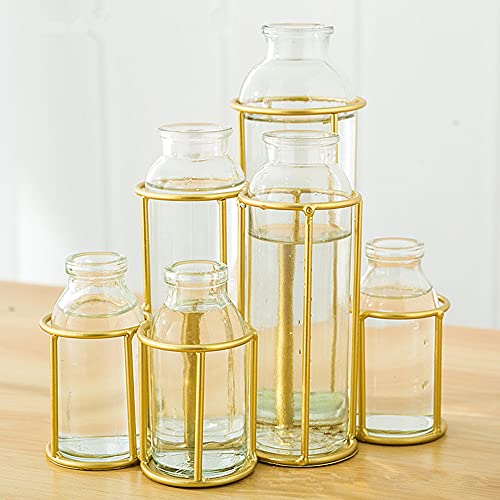 Flower Vases with 6 Bottle Crystal Clear Glass Flower Vase with Metal Stand Propagation Station Plant Display Holder Set for Home or Wedding Décor