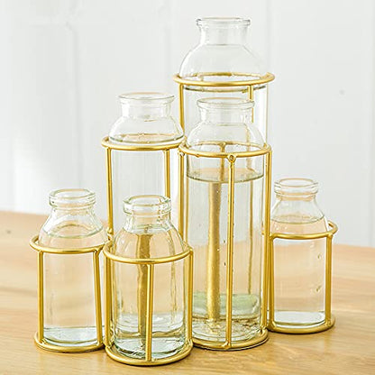 Flower Vases with 6 Bottle Crystal Clear Glass Flower Vase with Metal Stand Propagation Station Plant Display Holder Set for Home or Wedding Décor