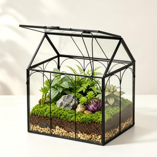 Ferrisland Glass Geometric Plant Terrarium, Clear Glass Succulent - size: 6" L x 4.3" W x 6.3" H