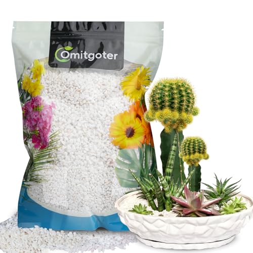 Horticultural Perlite for Plants 2qt, All Natural Horticultural Soil Additive Conditioner Mix, Improve Ventilation and Drainage, Enhance Soil Health and Root Growth - color: Perlite, size: 2qt