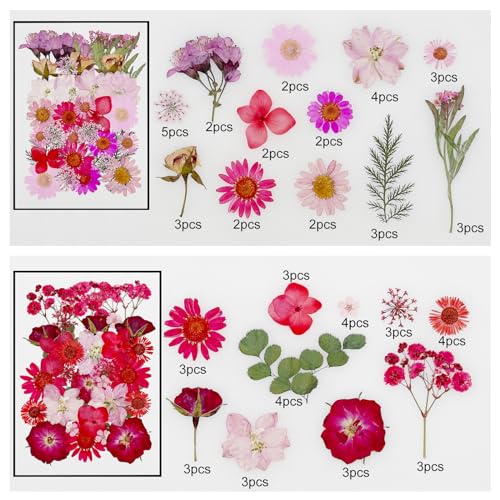 Cayway 170 PCS Dried Pressed Flower, Pressed Flowers and Leaves for Resin, Real Nature Pressing Floral Leaves for DIY Craft, Jewelry Making, Candle Scrapbooking Supplies, Red - color: 170pcs-red