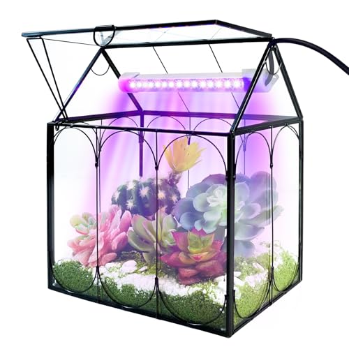 RIFNY Plant Terrarium with Grow Light, Glass Terrarium 7.1 x 4.8 x 8.8 Inch - size: Black-Small with Plant Light
