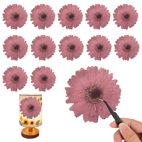 ALJ Pink Large Size Dried Sunflowers for Resin Crafts Embellishment, Natural Pressed African Daisy, Gerbera Jamesonii for DIY Jewellery Candle Making Phone Case Home Wedding Decor (3.14-3.54IN) - color: Pink