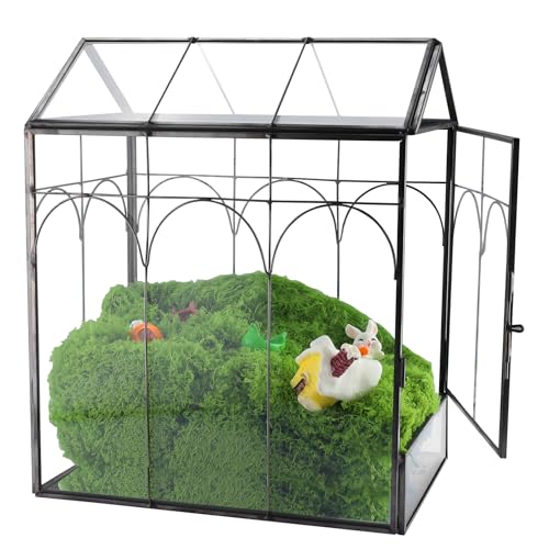 HighFree Geometric Plant Terrarium with Lid (Black with Side Door) - color: Black with side door