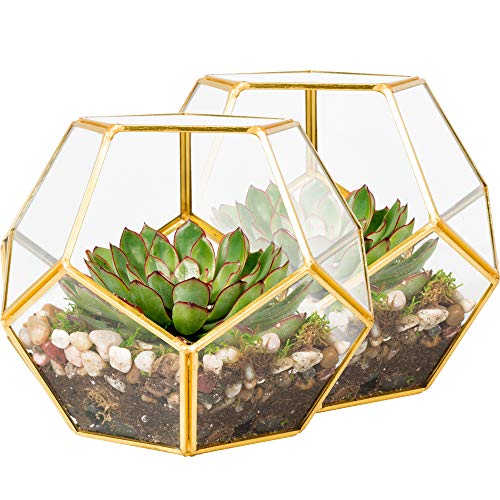 D'Eco Glass Gold Sphere Plant Terrariums & Centerpieces, 2 Pack - color: Gold, size: 2 Pack