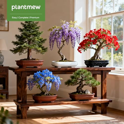Christmas Gifts & Crafts for Adults - Bonsai Tree Starter Kit with 5 Unique Japanese Trees | Complete DIY Gardening Kit for Birthday | Gifts for Women, Men, Mom, Dad, Plant Lovers