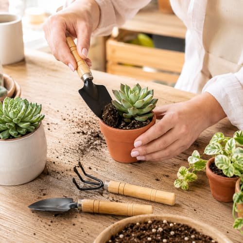 3-Piece Wooden Handle Garden Tool Set, Mini Metal Hand Trowel, Rake and Shovel Kit for Gardening, Succulent Planting, Soil Loosening and Home Gardening Use