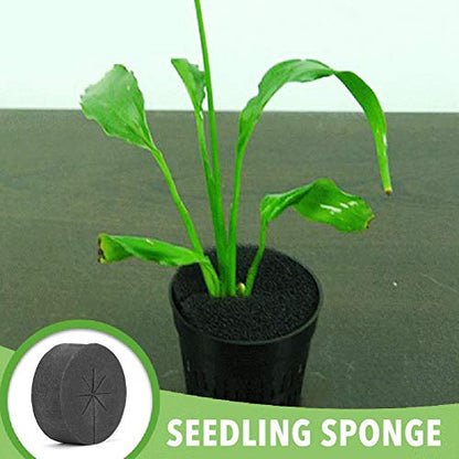 30 Pack Cloning Collars Inserts,Garden Clone Collars Fits 2 Inch Net Cups,Plant Accessories Hydroponic Tower Aero Garden Pods Clone Collar Hydroponics Sponge,DIY Foam Cloner Inserts for Plant