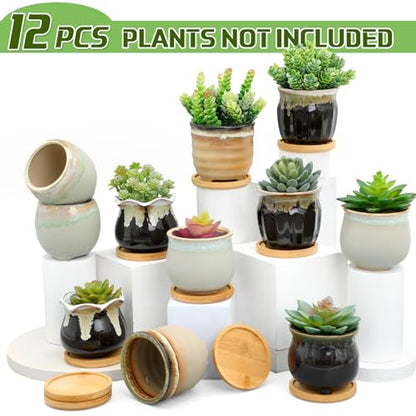 12 Pcs Ceramic Succulent Pots with Drainage 3.5 Inch Bamboo Tray | Mini Planters for Indoor Plants, Ceramic Pots Bulk for Home Office Desk, Glazed Finish with Drainage Hole, Bamboo Coaster - size: 3.5 Inch