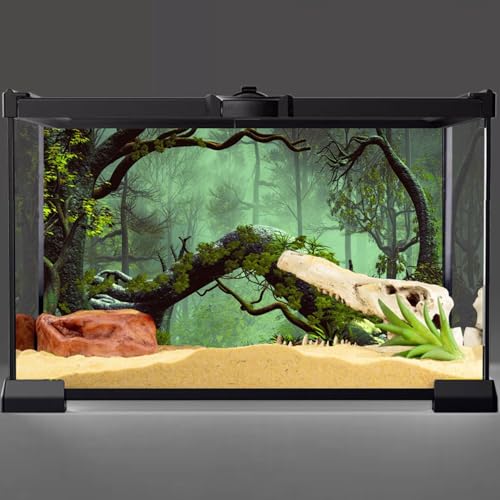AWERT 60x24 inches Foggy Forest Terrarium Background Stone Green Tree Tropical Reptile Habitat Background Rainforest Aquarium Background Durable Polyester Background - size: 60x24in/150x60cm