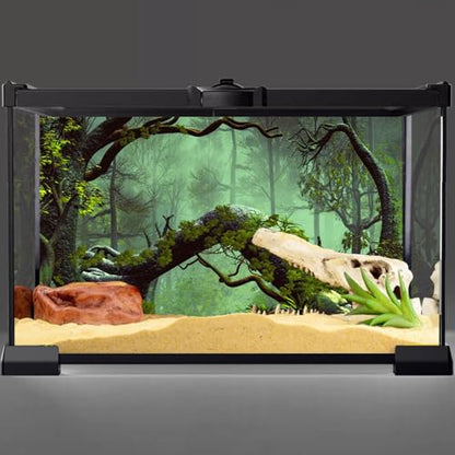 AWERT 36x24 inches Foggy Forest Terrarium Background Stone Green Tree Tropical Reptile Habitat Background Rainforest Aquarium Background Durable Polyester Background - size: 36x24in/90x60cm
