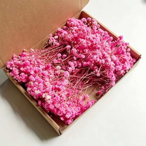 100PCS Pink Dried Pressed Baby's Breath Flowers, Real Natural Dry Flowers Bulk for Wedding Card Home Party Decor, Resin Art, Bookmark, Scrapbook, Jewelry, Candle & Soap Making - color: Pink Rod, Pink Flower