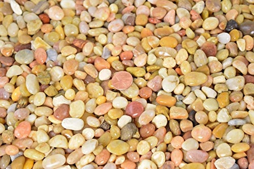 Cali-Bon Large Salmon Bay Pebbles for Aquarium, Bonsai Tree, Lucky Bamboo, Zen/Fairy Garden & Top Dressing - 3/9/30 lbs (9 lbs Pebbles) - size: 9 lbs pebbles