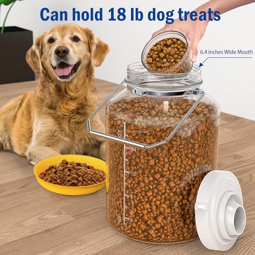 5 Gallon Glass Storage Jar with Airtight Lid, Stainless Steel Handles | 6.4" Wide Mouth, Quart & Liter Marks, Measuring Cup Included, Large Storage Container for Rice, Dog Food & Treats, Dry Food