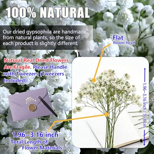 112Pcs Babys Breath Mini Dried Pressed Flowers for Crafts, Real Natural Flat White Dry Flowers Bulk for DIY Wedding Invitation, Resin Art, Card, Bookmark, Scrapbook, Jewelry, Frame, Candle,Soap Making - color: White Baby's Breath 112pcs