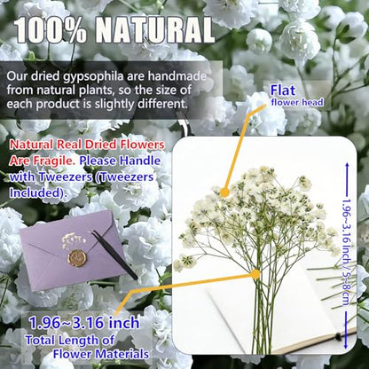 112Pcs Babys Breath Mini Dried Pressed Flowers for Crafts, Real Natural Flat White Dry Flowers Bulk for DIY Wedding Invitation, Resin Art, Card, Bookmark, Scrapbook, Jewelry, Frame, Candle,Soap Making - color: White Baby's Breath 112pcs