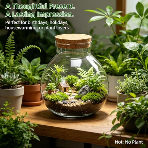 NUOBESTY 2 Pack Glass Terrarium Jar with Cork Lid, 6x6.3 Inch Closed Terrarium for Succulent Moss and Fern, DIY Miniature Desktop Garden for Home & Office Decor (No Plants)
