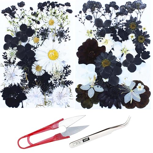 Cayway 2 Pack Dried Pressed Flowers for Resin Molds, Black Real Pressed Flowers Dry Leaves Kit Natural Dried Pressed Leaves for Art Crafts Resin Scrapbook Supplies Soap Candle DIY, Style A - color: Black White Style a