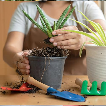 Doter Aloe Vera Potting Soil Mix 10qt, Ready to Use for Seedling and Growing of Aloe Vera Plants or Other Houseplants - size: 10qt