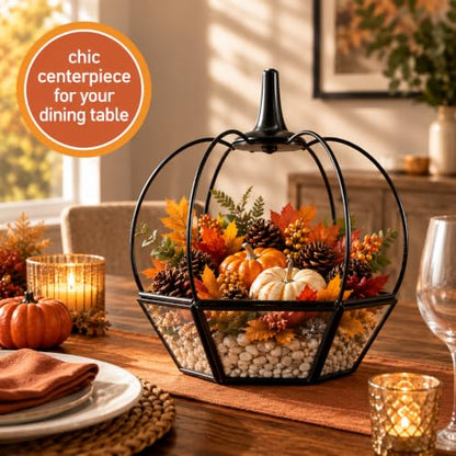 D'Eco Pumpkin Glass Terrarium, 7x7x8, Rustic Black Trim Geometric Planter