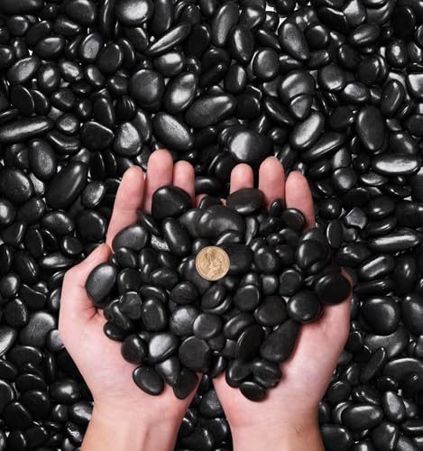 NUPICK 10 Pound Black River Rocks, 1-2 Inches Rocks for Plants | Polished River Rocks for Landscaping, Pebbles for Plants, Garden, Vase Filler, Bird Baths, Succulent, Bonsai - color: Black, size: 0.8-1.3"-10lb