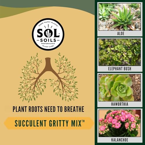 Succulent Gritty Mix 7 Gallon Box - Fast Draining Peat Moss Free Succulent Soil Potting Mix with Coconut Husk Chips, Perlite & Pumice - size: 7 Gallon