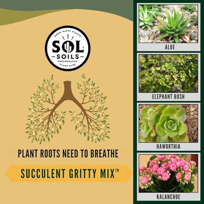 Succulent Gritty Mix 7 Gallon Box - Fast Draining Peat Moss Free Succulent Soil Potting Mix with Coconut Husk Chips, Perlite & Pumice - size: 7 Gallon