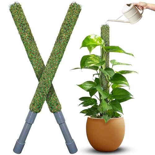 DUSPRO Self-Watering Natural Green Forest Moss Pole, 2pcs 23'' - size: SELF WATERING MOSS POLE