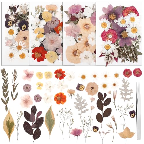 100 Pcs Real Natural Dried Pressed Flowers Yellow - color: Mixed Yellow