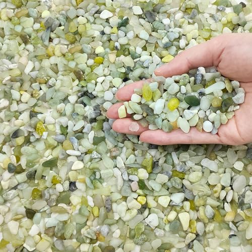 FANTIAN Jade Pebbles for Indoor Plants,1/4 Inch (3-6 MM) Polished Green Pea Gravel Small Rocks for Plants, Succulents, Cactus, Vases, Terrarium - size: 1 pound, style: Jade