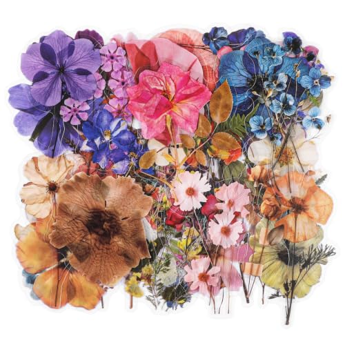200 Pcs Flower Stickers, Dried Flower Stickers for Scrapbooking, Pressed Sticker for Scrapbook Supplies, Natural Floral Botanical Decals for Junk Journal Supplies, Scrapbook Sticker, Planner Resin Art